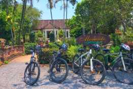 Tour 1 ngày: Khám phá Memento Countryside - Trầm Hương Hoàng Trầm - Làng Nhỏ Hồ Láng Nhớt